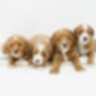 Cute Babies!