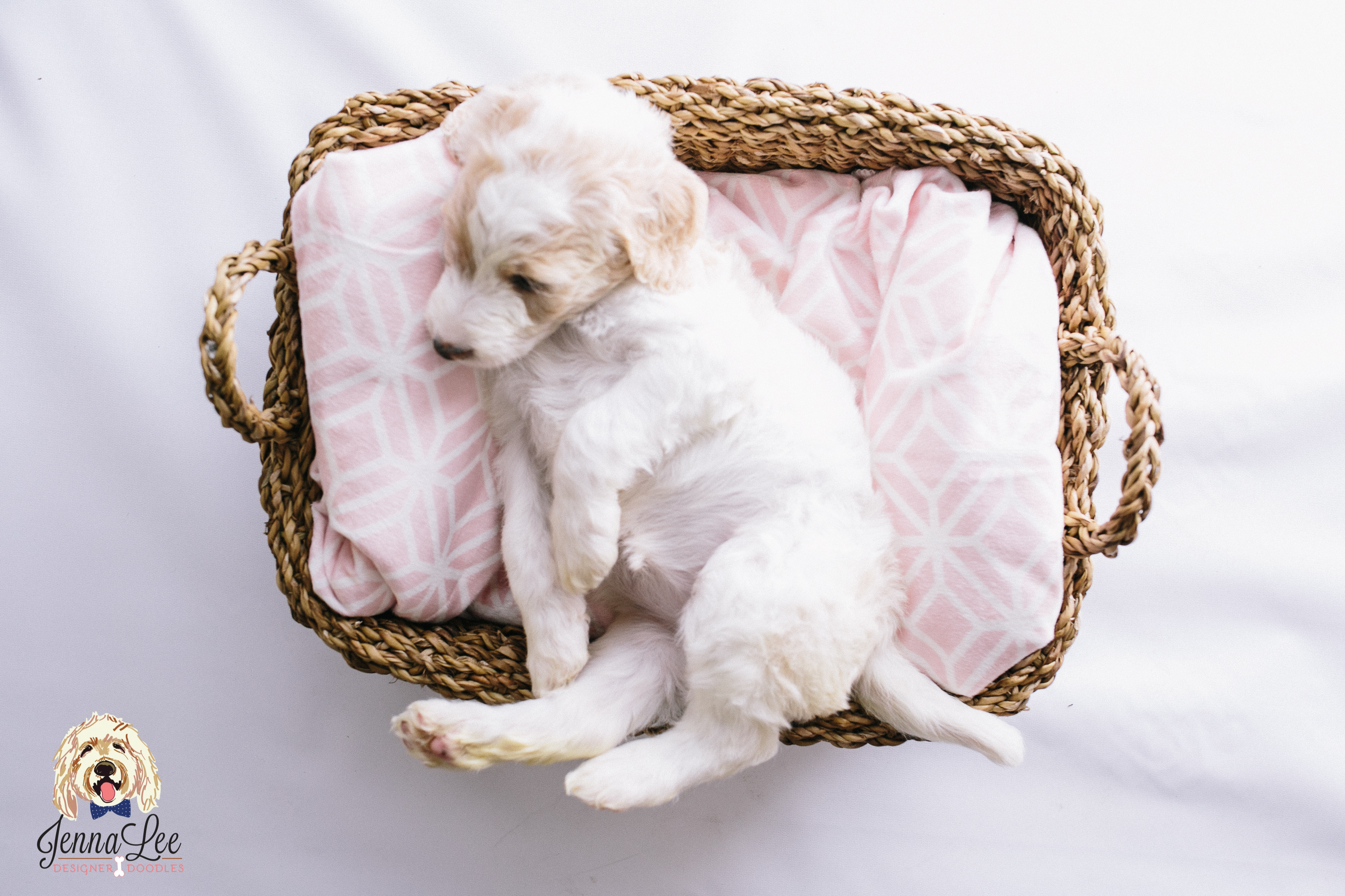 Pink Collar Female