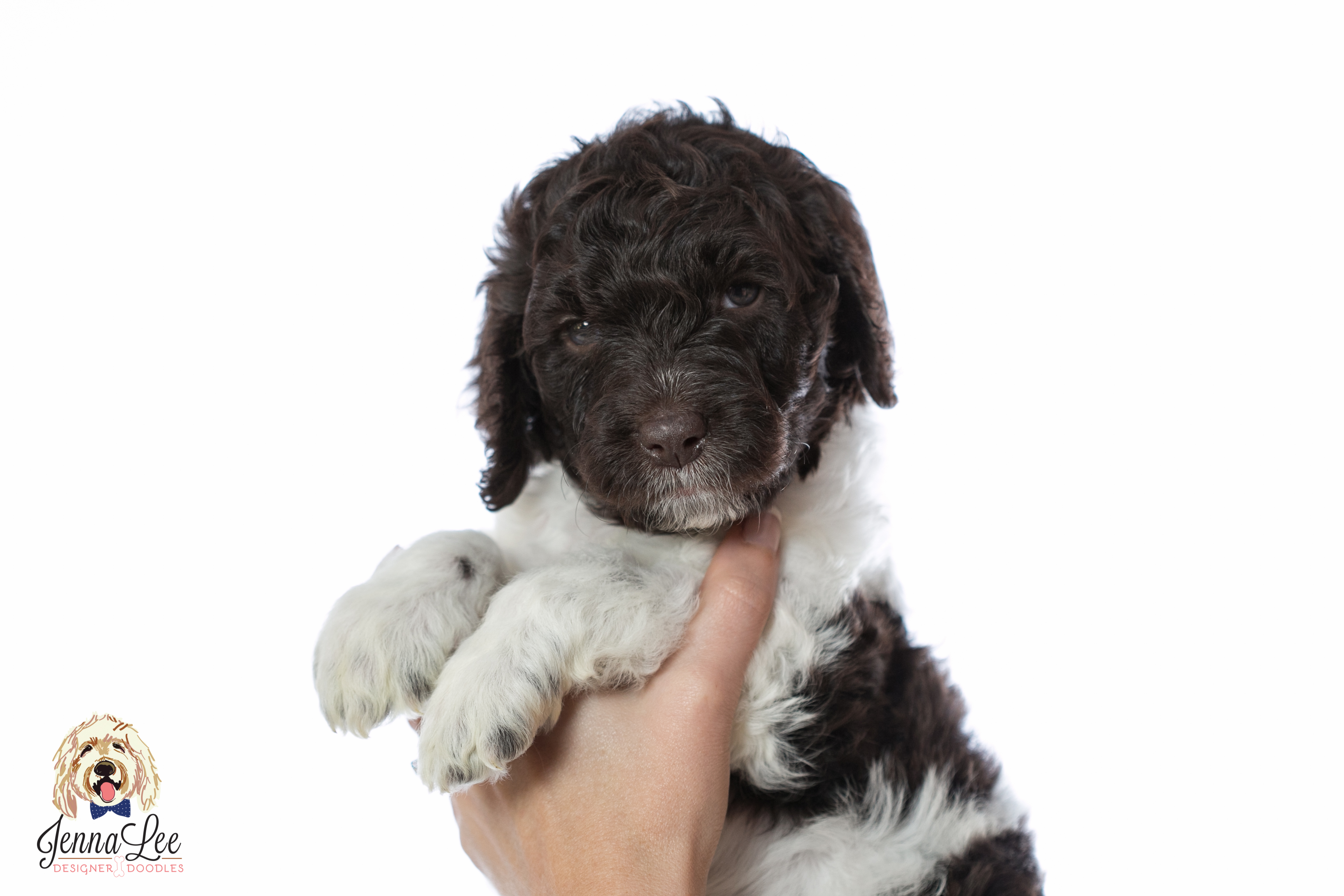Green Collar Male