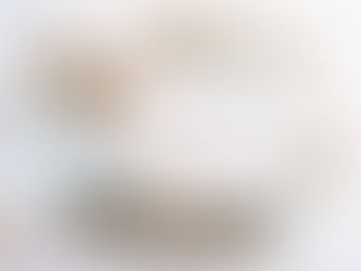Mini Goldendoodles vs Micro Goldendoodles: Pros & Cons