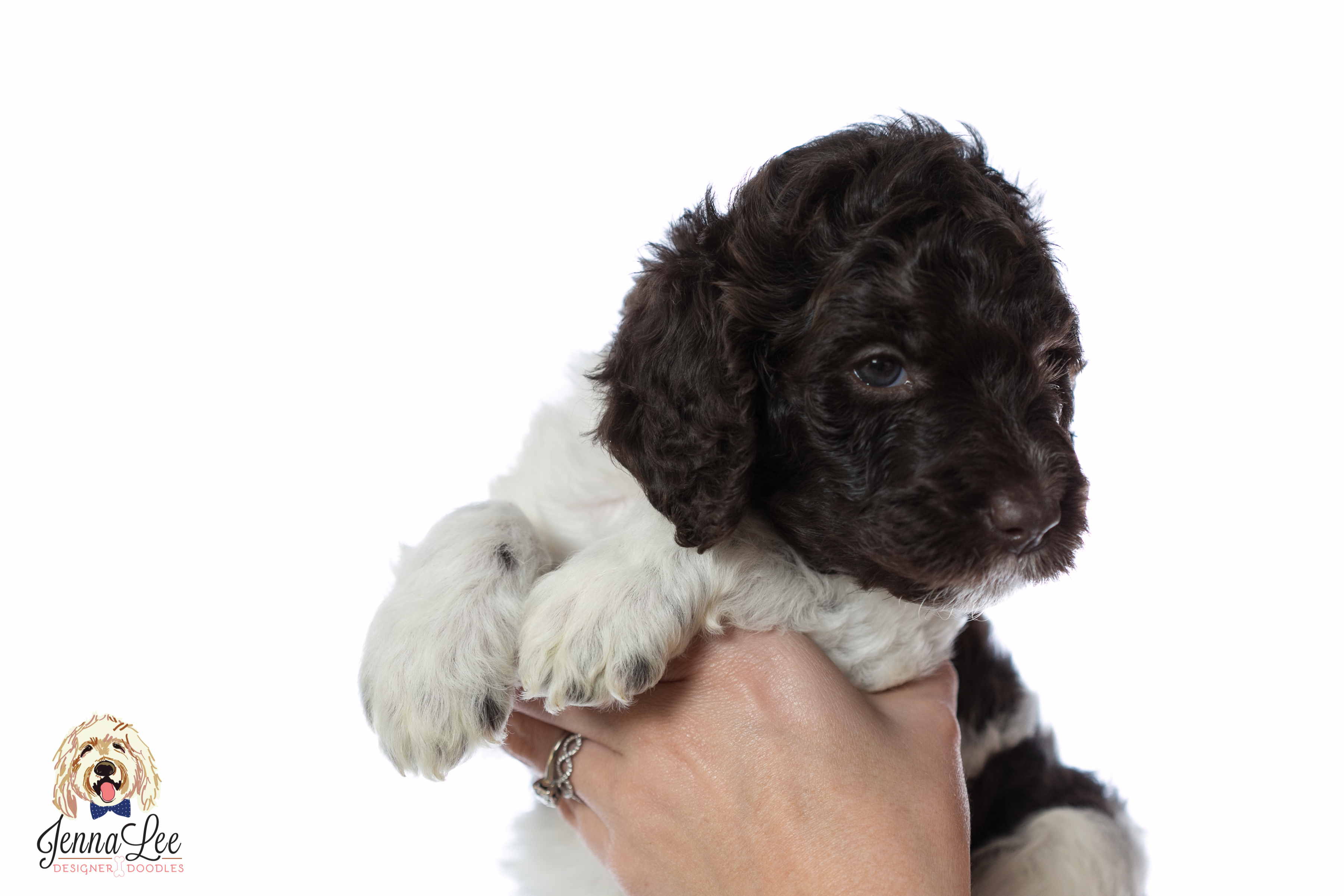 Green Collar Male