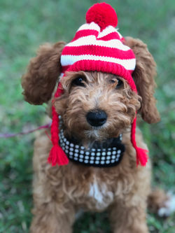 Cold weather is coming!