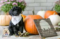 Blue Stripe Collar Male