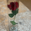 Thumbnail: Eternity Rose 🌹 - tall vase
