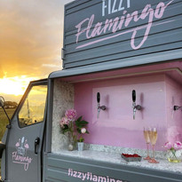 fizzyflamingo.jpeg