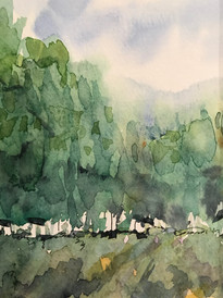Available--Mountain Field Screen
