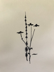 IMG_3439.jpeg