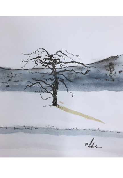 untitled image
