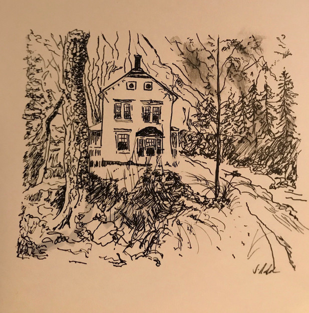 untitled image