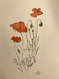 IMG_4487.jpeg