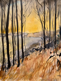 Hudson River View