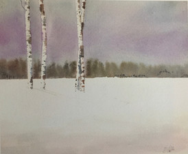Snowy Field
