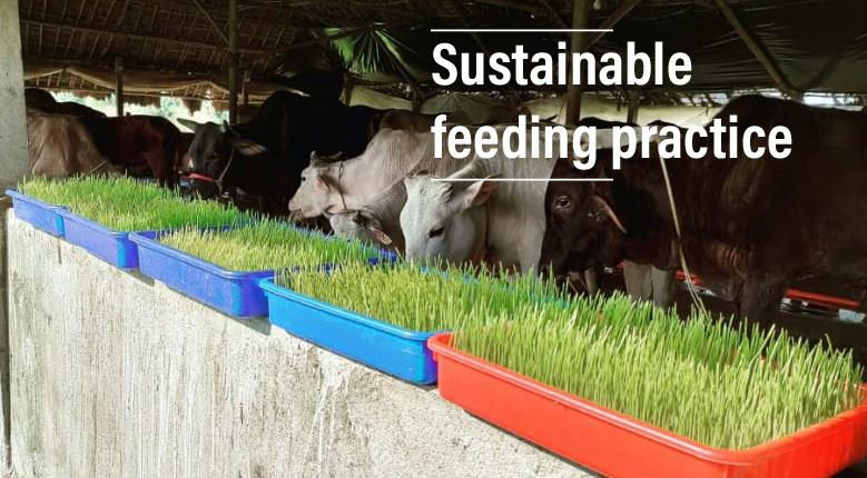 Building a sustainable model!