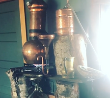Botanical Medicines