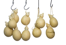 CACIOCAVALLO