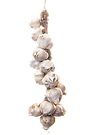 AGLIO