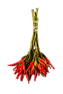 PEPERONCINO