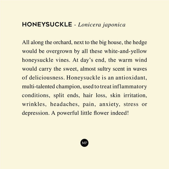 MP_HONEYSUCKLE.jpg
