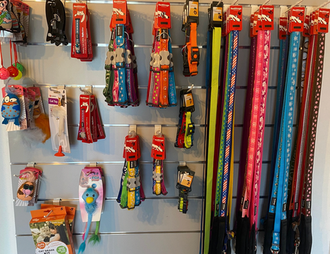 La boutique pour chien et chat