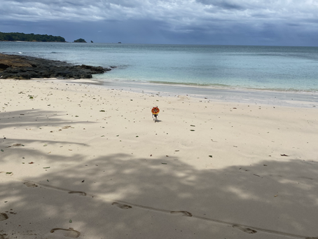 Sonny Island- Private Island Panama