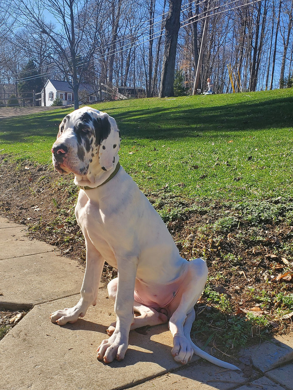 166431925_966572640582152_7072024190357387736_n