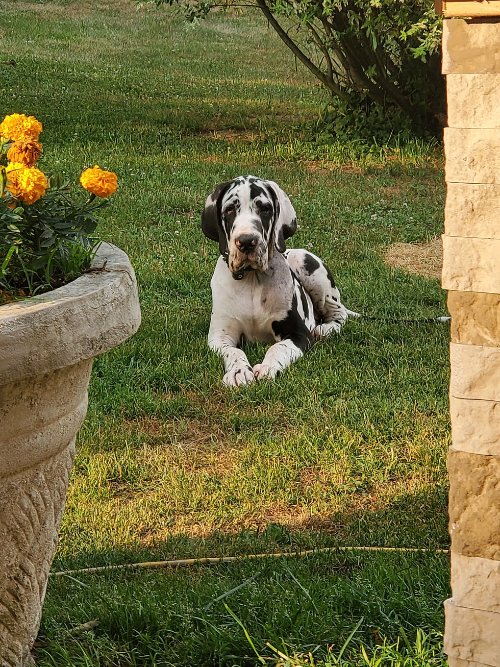 107236836_787578838481534_8991711085630360273_n