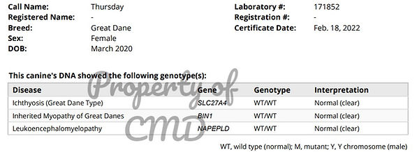 thursday imgd testing