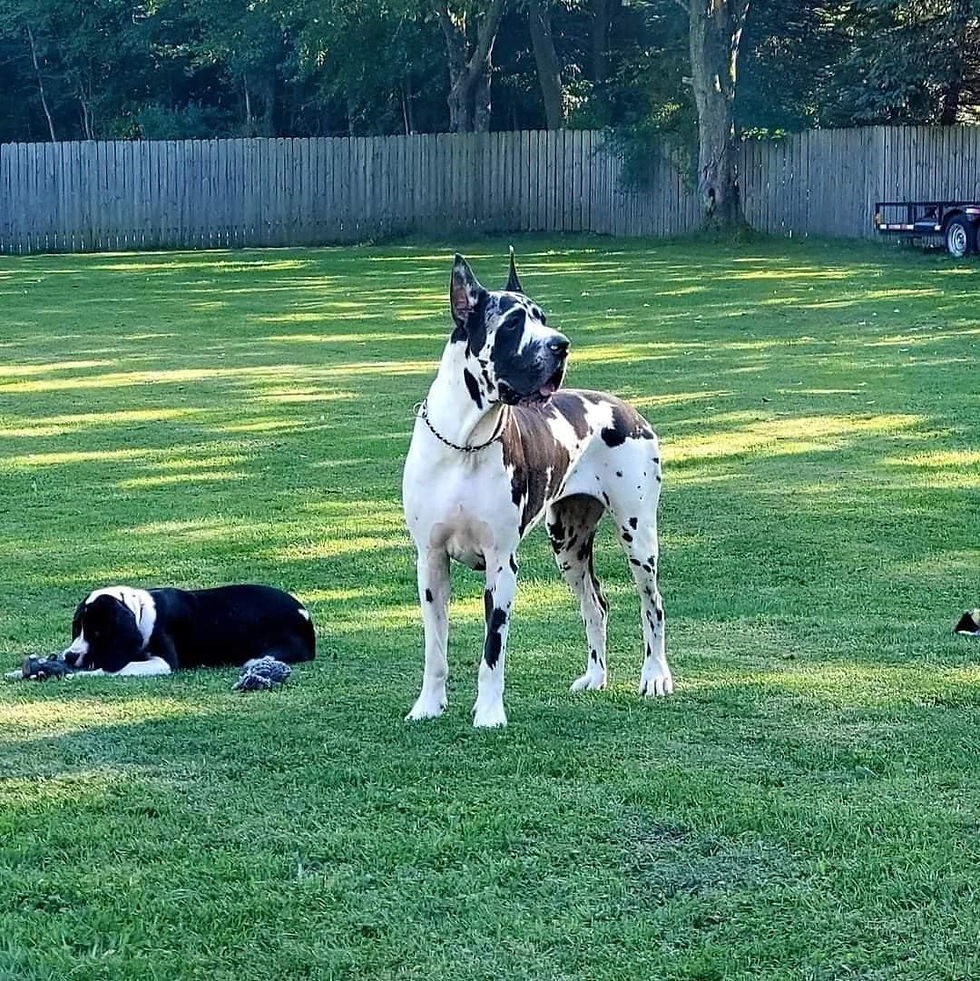 245279166_1088243038415111_3223210591172881045_n