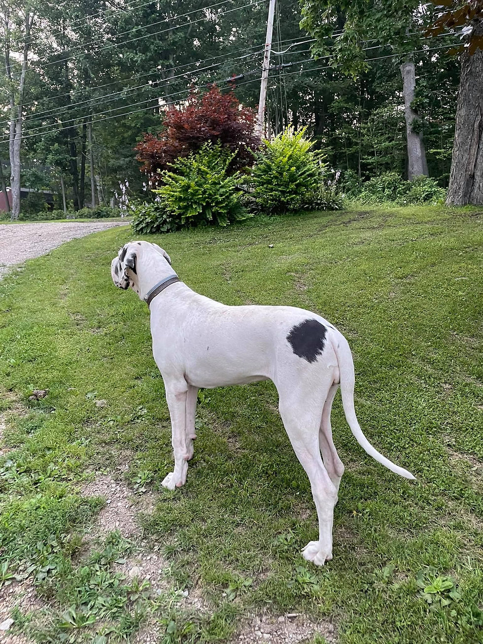 317328766_1351094888796590_8093376509846322774_n