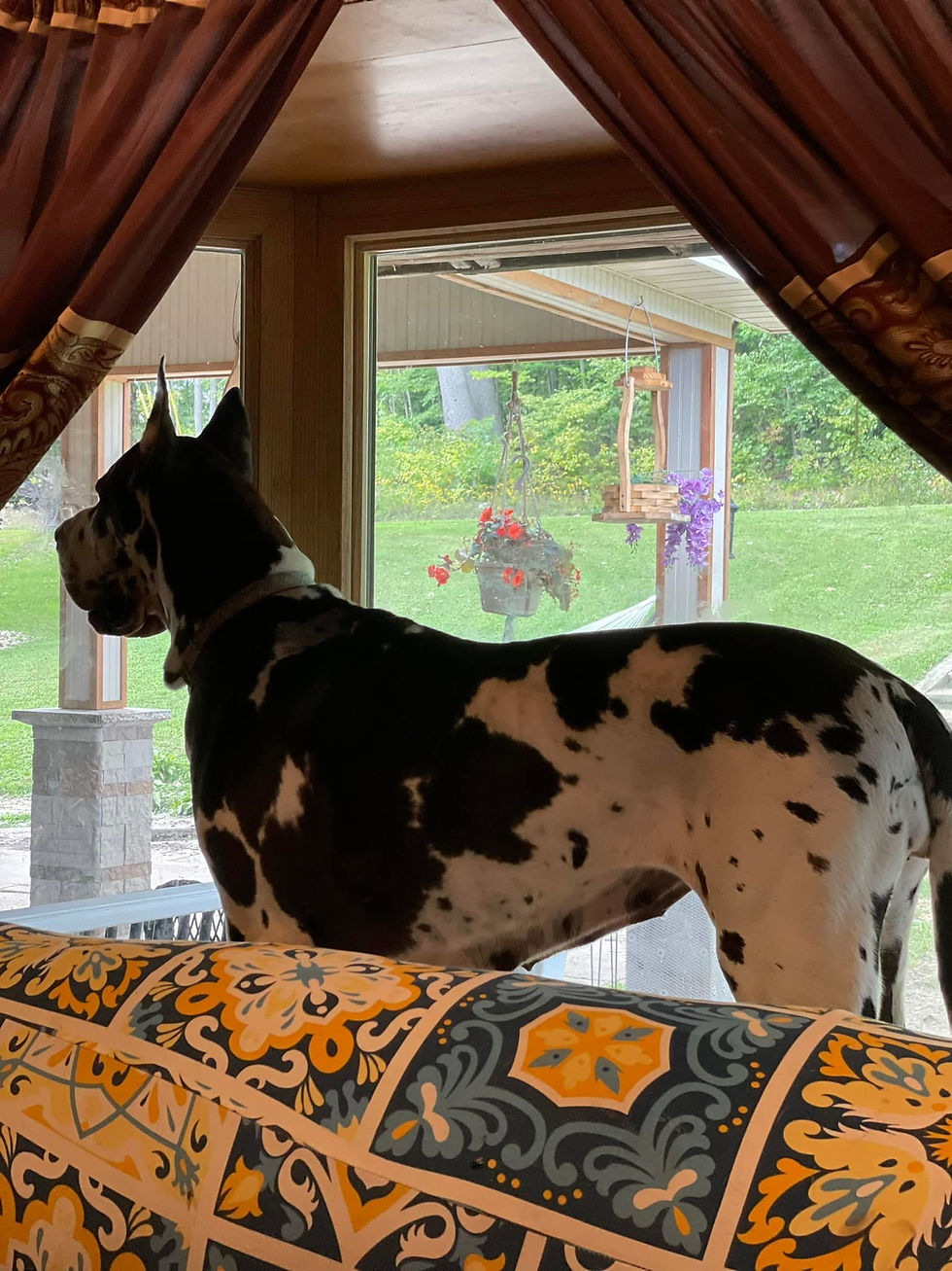 306643530_1298968687342544_123778830420422198_n