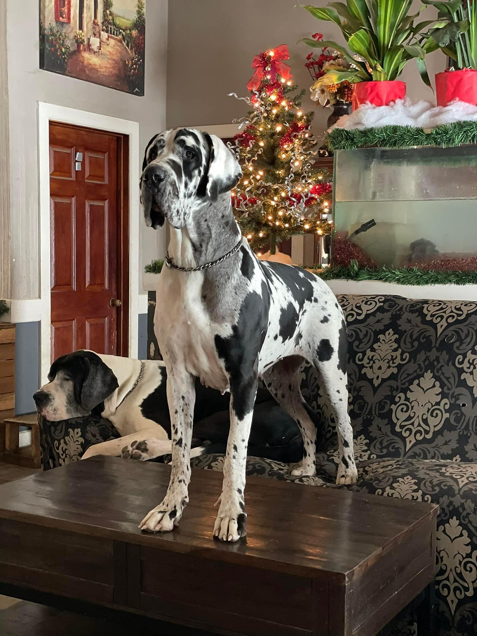 326717133_3461208027443847_6765636959837242582_n