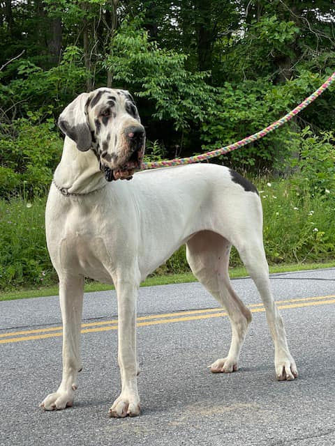 315718396_1342338879672191_1892598648380536073_n