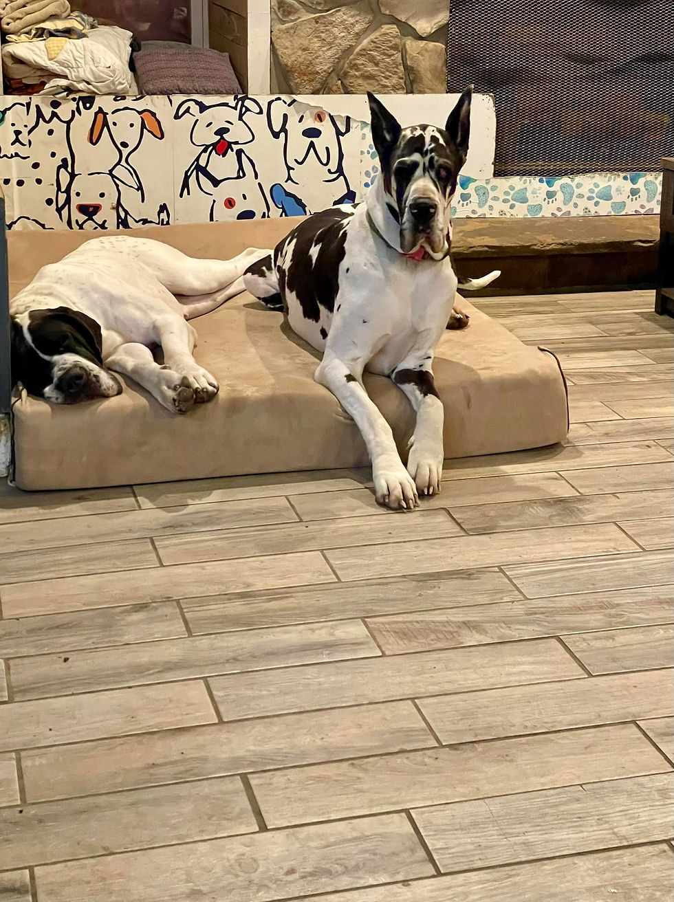 345628525_3335673046694325_8048217642264296528_n