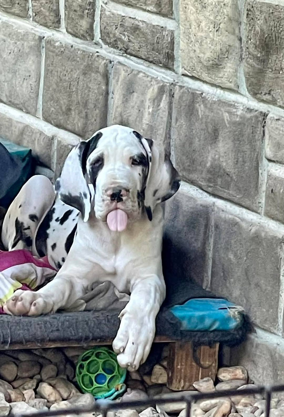 510258467_1931515984087808_6497445979853423309_n