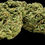 Thumbnail: COTTON CANDY KUSH