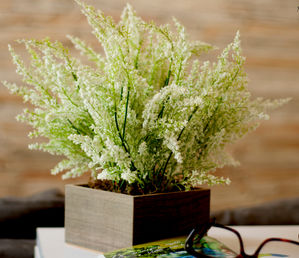 Que tal decorar sua sala ou a varanda com este arranjo Chuva de Prata simples e sofisticado?!