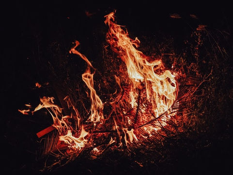 Fire risk as tonnes of tree waste left around Colo Heights