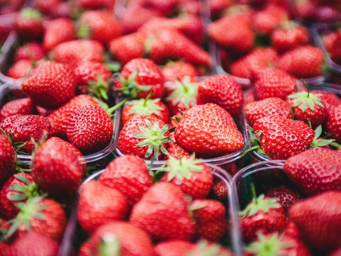 Bilpin fruit farmers branch out thanks to million dollar government recovery grants