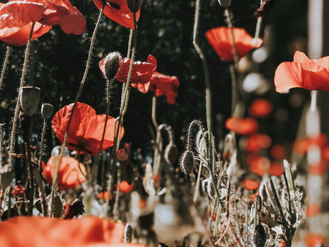 Community grants to honour Hawkesbury veterans