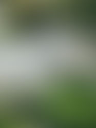 Khu Đô Thị: Đặc Trưng, Quy Định Và Trình Tự Phát Triển