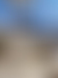 Có Nên Mua Căn Hộ Duplex