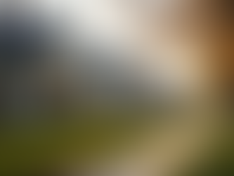 Top Tips for First-Time Home Buyers in Elgin