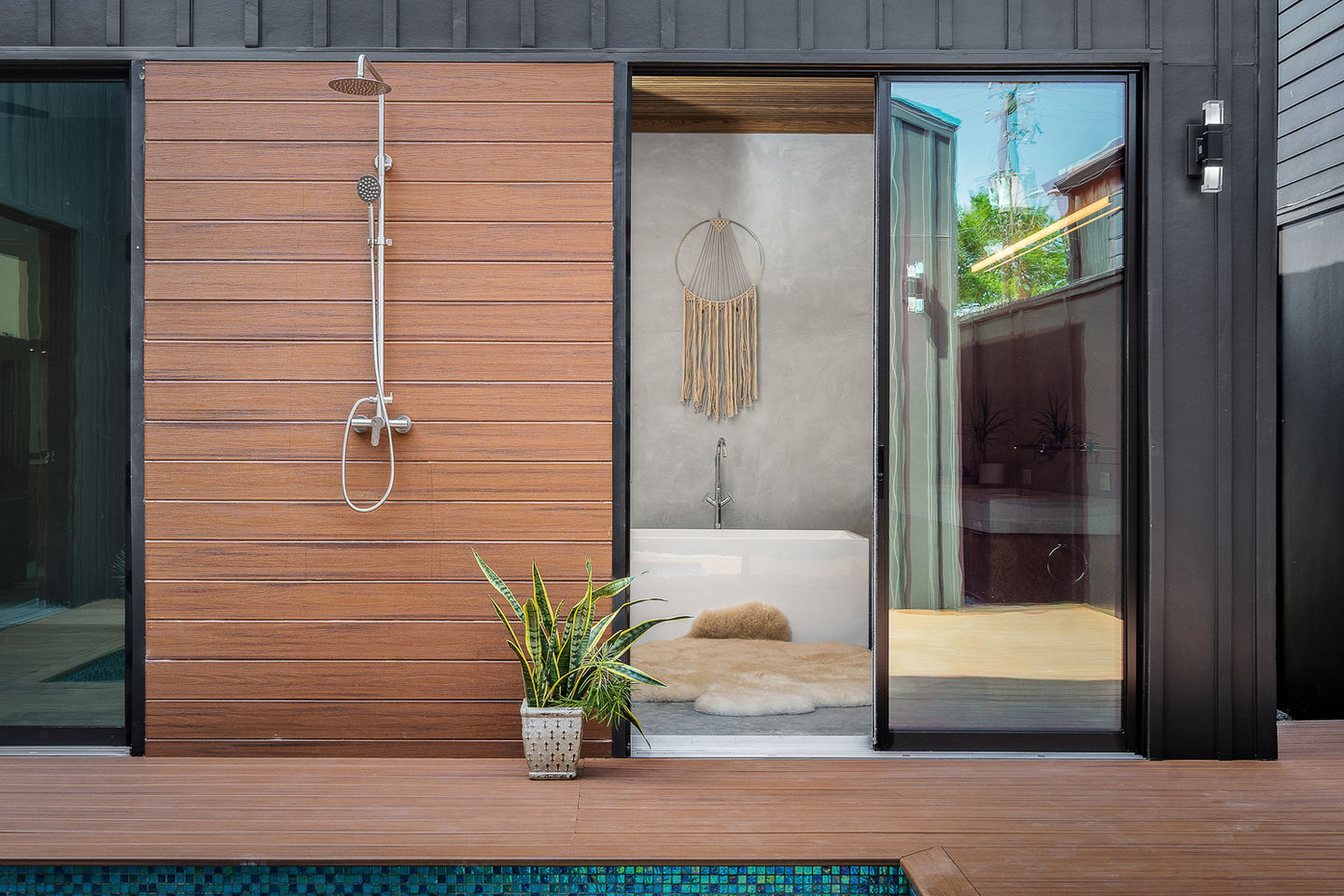 Aralia Black