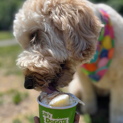 JB's Doggie Delights