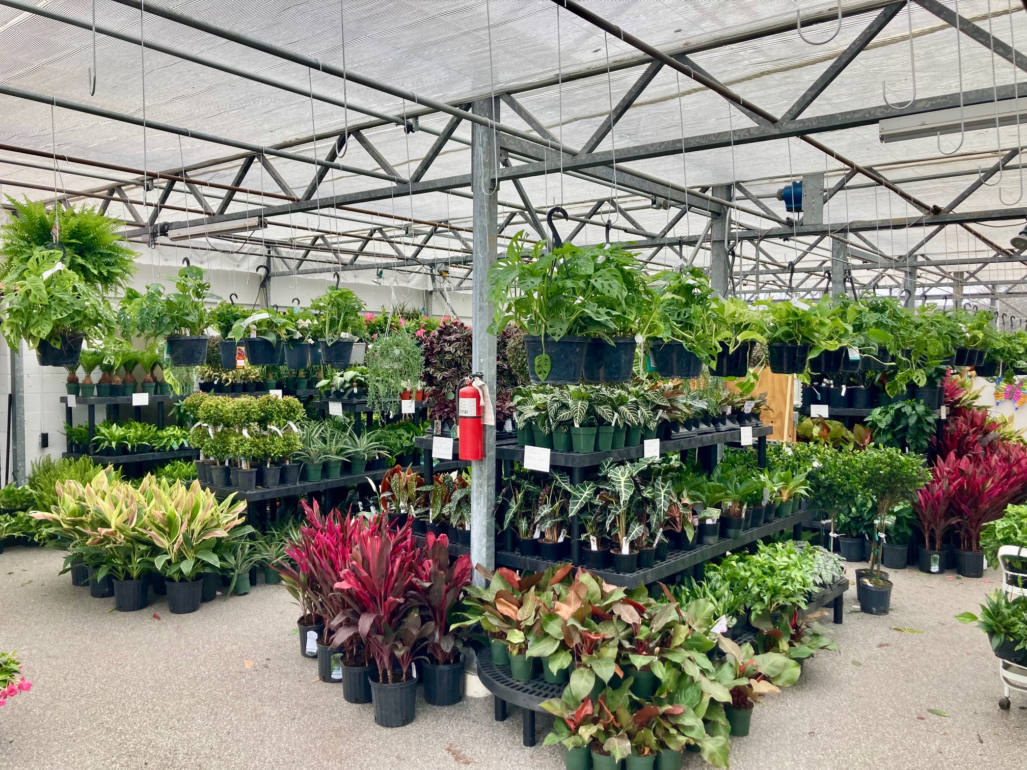 Lehigh Valley Home & Garden | Plant Nursery | Allentown PA