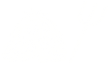 markkinatrans.png