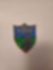 School Crest New Icon