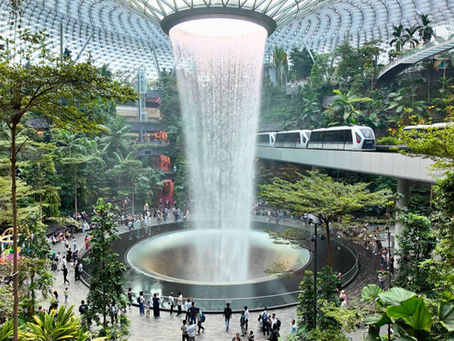 A towering waterfall surrounding by lush greenery