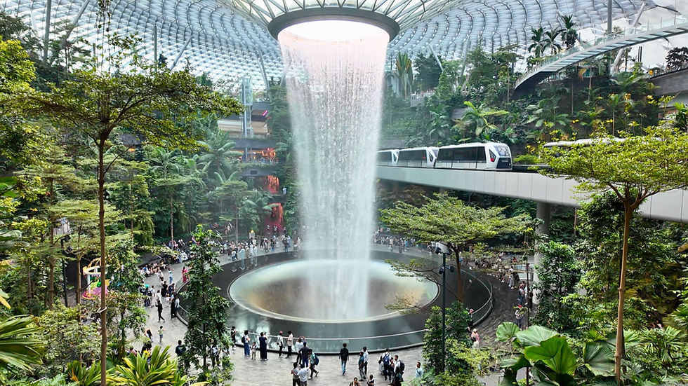 A towering waterfall surrounding by lush greenery