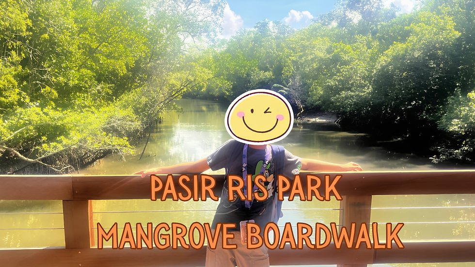 Pasir Ris Park Mangrove Boardwalk and Downtown East Mall